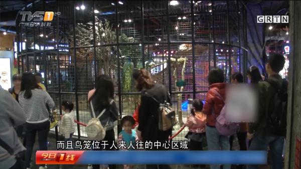 广州一商场长期养孔雀，顾客担心禽流感