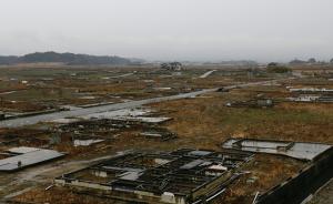 日本大幅解禁福岛避难区，约七成40岁以下年轻人称不会返乡