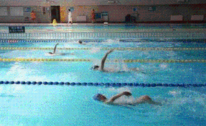 新闻点丨清华重拾游泳校规，还有哪些美国名校有游泳情节