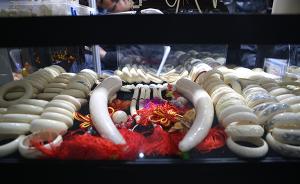中国今日起停止首批企业加工销售象牙，专家呼吁明确库存处置