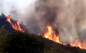 湖南郴州上坟烧纸引发森林火灾，3村民救火不幸身亡