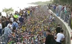 经政府与企业努力，今日驶入深圳湾公园共享单车数明显减少