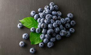 英美研究：喝蓝莓汁能改善老年人脑功能，还有助缓解产后抑郁
