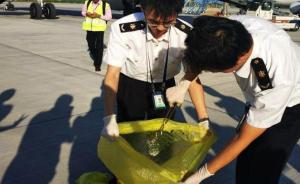 陕西西安咸阳机场捕获一条蛇，系马尔代夫至西安航班上发现
