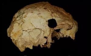 葡萄牙发现40万年前人类头骨化石，或为尼安德特人先祖