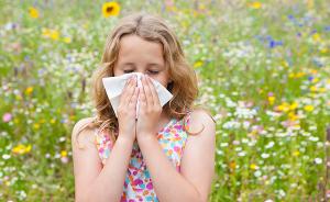 花粉刺激易诱发过敏性鼻炎，中医针灸按摩可防治