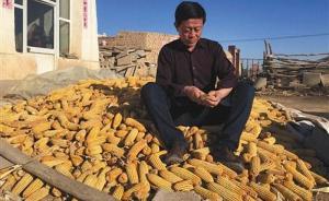 收购玉米获刑后改判无罪，内蒙古农民申请国家赔偿38万