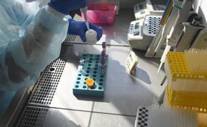 华人领衔团队研发寨卡减毒活疫苗，小鼠实验显示可长期免疫