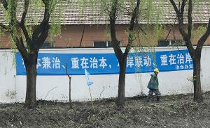 上海青浦“黑臭河”治理后来了野鱼和天鹅，将开高端民宿