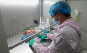 中国启动首批两个胚胎干细胞临床研究，治帕金森和视网膜问题