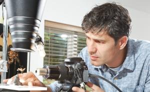 一位摄影师和昆虫的故事：我如何将一只小虫子拍到3米长