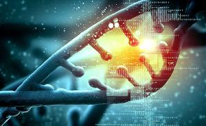 《自然》杂志：想高效分析人类基因功能？试试“反向遗传学”
