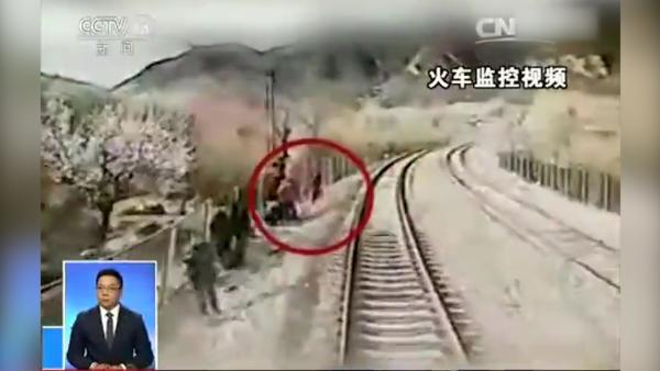 “花海列车”视频记录铁轨边拍照者