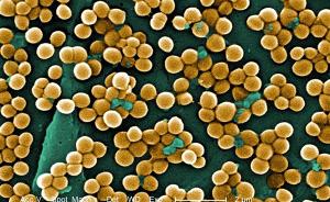 向“超级细菌”宣战！中国科学家率先提出“生物杀菌”新概念