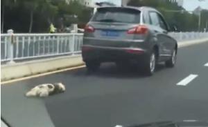 山东威海一男子开车拖行小狗遭“人肉”，警方：正在调查