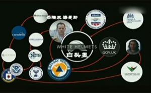 感動聯合國收獲奧斯卡的組織被質疑造假