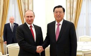 张德江会见普京：俄中关系处于历史最高水平，对未来充满信心