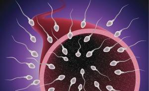 输卵管不通怎么办，这几种办法或能助孕