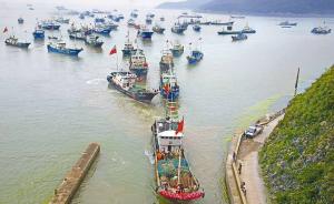 浙江省致信农业部建议提前休渔，15万渔民即将早一个月放假