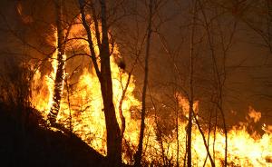 大兴安岭毕拉河森林火灾系管护站司炉工倾倒燃烧残渣引发