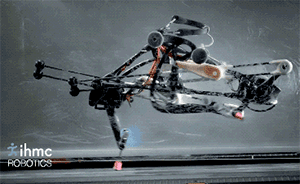 视频丨其他机器人还在学怎么走路，这只机器鸵鸟已能蒙眼狂奔