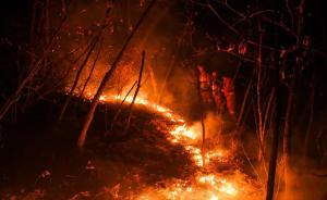 大兴安岭毕拉河森林火灾：火势平稳，争取在5日晚八点前扑灭