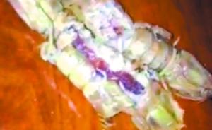 深圳食药监：网传注胶皮皮虾视频系伪造，红色块状物是性腺