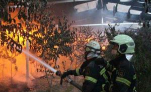 北京两天接火警686起，其中近半因杨柳絮、树木杂草等引发