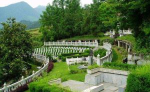 游客参加免费“黄山一日游”却被忽悠买墓地，民政部门介入