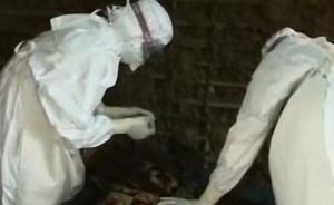 世卫确认刚果（金）再现埃博拉：3人死亡，1名死者已确诊