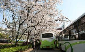 怎样算精品公交线？上海巴士集团筛选22条公交线请乘客打分