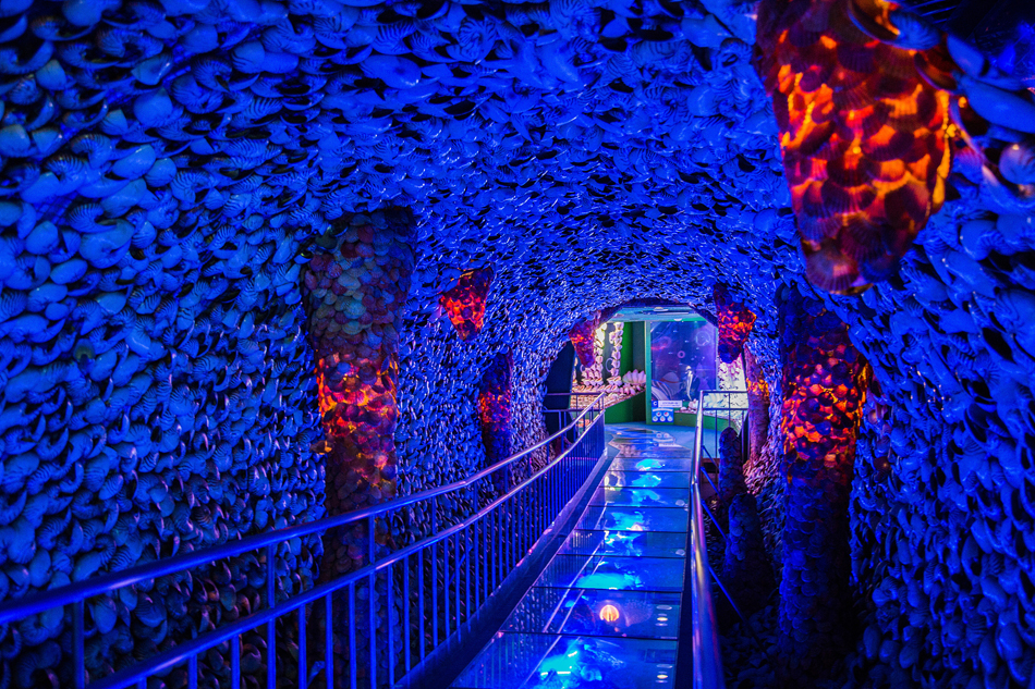 13.当地时间2015年8月18日，日本蒲郡，探访竹岛幻想博物馆，整座博物馆由来自110个不同国家的50000枚贝壳打造而成，珊瑚礁、美人鱼、隧道、沉船、龙等都栩栩如生。