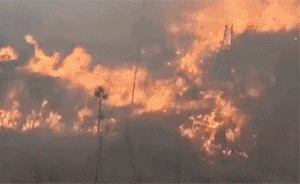 内蒙古那吉林场大火仍在燃烧：投入三千人扑救，周边居民撤离