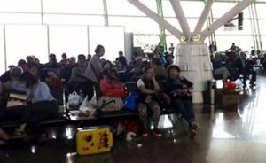 南京飞米兰客机迫降272名中国乘客滞留