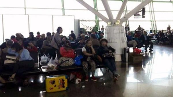 南京飞米兰客机迫降272名中国乘客滞留