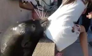 女孩在加拿大投喂野生海狮被咬住裙子拖下水