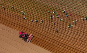 中国今年底前将发布农用地、建设用地土壤环境质量标准