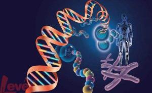 科学家发现男性生育能力相关基因，基因突变将致“无精子症”