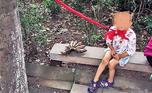 重庆4岁留守男童被亲戚拴在树上：前不久走丢一次，实属无奈
