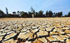 国家防总：今年旱情蔓延发展迅速，受旱面积增长较快