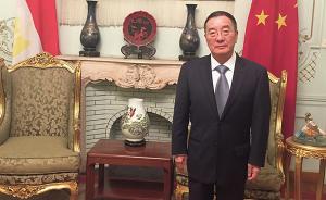 专访丨中国驻埃及大使：埃及开放步伐值得中企关注