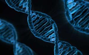 中国科学家发现儿童多动症相关新基因