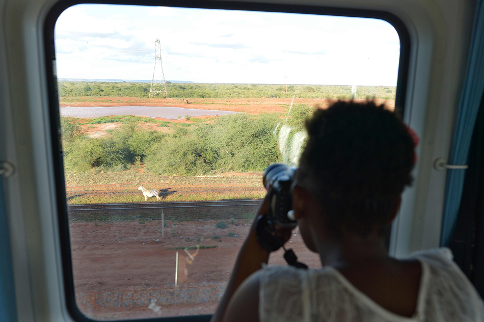 6.当地时间2017年5月29日，肯尼亚蒙巴萨，一名女性在开往内罗毕的列车上拍摄外面的斑马。