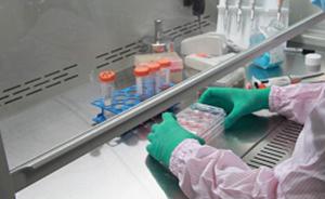 中国开展全球首个人类受精胚胎干细胞治疗帕金森病临床试验