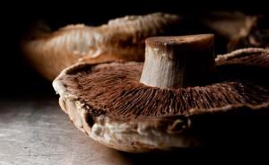 专家回应“蘑菇吸附重金属”：大多为人工无土栽培，可放心吃