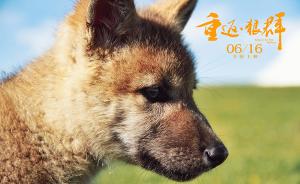 纪录电影《重返·狼群》：中国版的“格林童话”