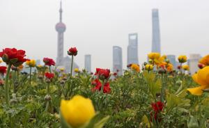 上海高考期间幸运避开风雨，但最高温达34℃体感较“齁湿”