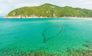 海南大洲岛：无人居住供濒危金丝燕栖息，人工繁育望恢复种群