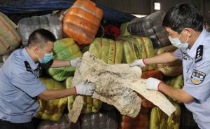 厦门海关截获500吨韩国旧服装，来自二手市场、太平间等
