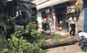 天津一公交为避让横穿马路老太撞人撞树，老太曾想索要赔偿